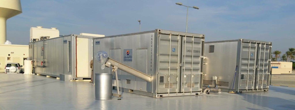 containerized-plants